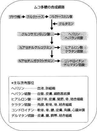 �ॳ¿���ι�����ϩ